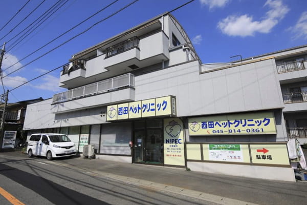 西田ペットクリニック_12