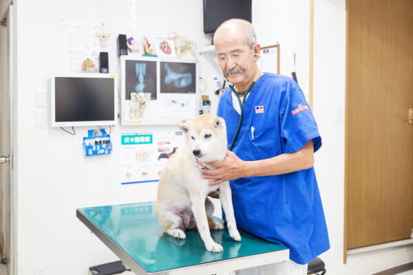 東山動物病院_19