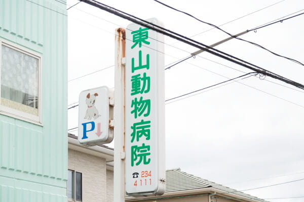 東山動物病院_25