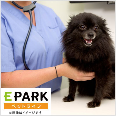 おおいずみ動物病院