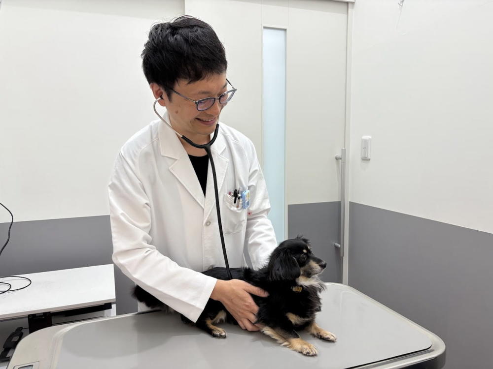 アテナ動物病院アリオ札幌