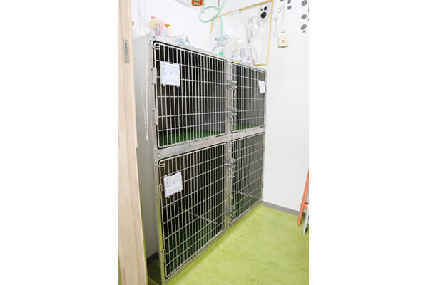 夙川動物病院_7