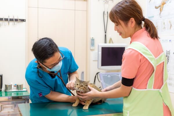 ひまわり動物病院_7
