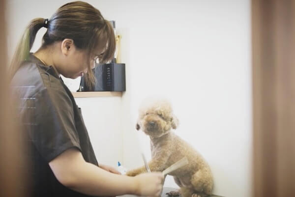 まな動物病院_1