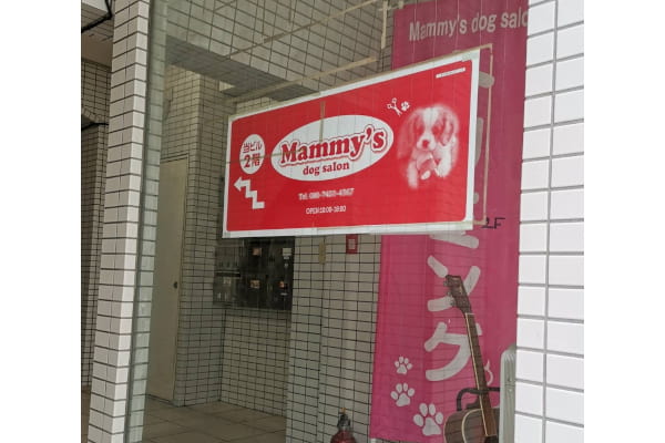 Mammy's dog salon