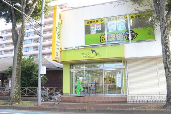 DOGLIFE 浦和店