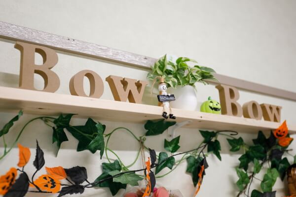 ドッグサロンBowBow_3