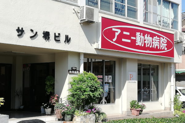 アニー動物病院(トリミング)