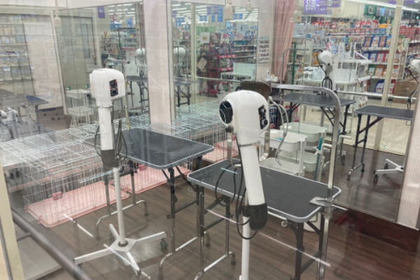 DCM大洲店 動物の森(サロン)