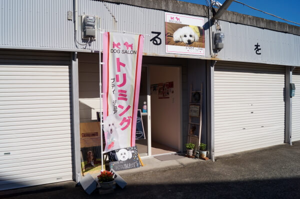 DOG SALON petit joie