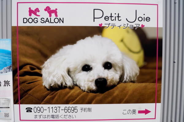 DOG SALON petit joie_1