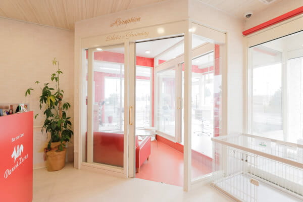 Eathetic health&beauty for Dogs MissLacy つくば_2