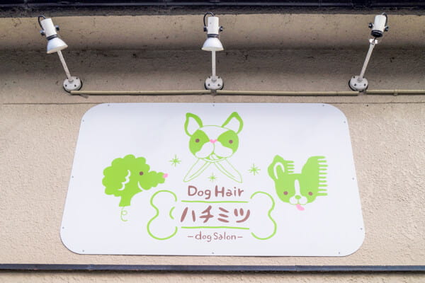 Dog Hair ハチミツ_3