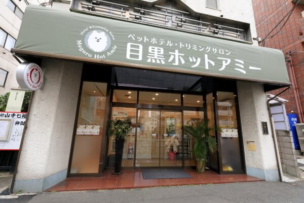 目黒ホットアミー
