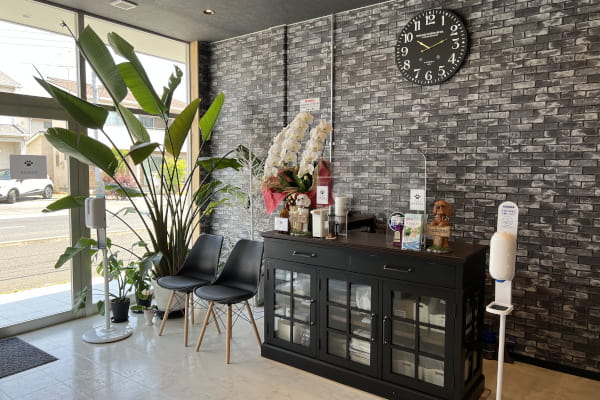 Dog Salon AVISIA