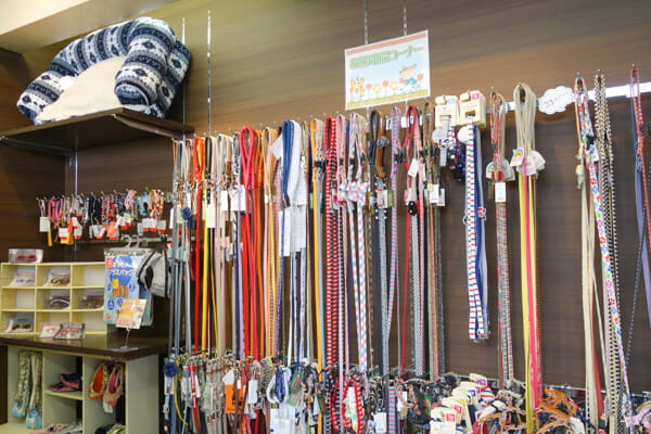 ケンネルキャラ 県央店_4