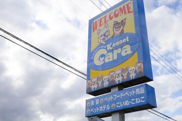 ケンネルキャラ 県央店_1