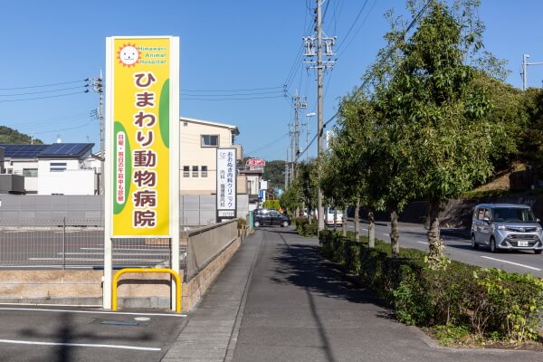 ひまわり動物病院(トリミング)_2
