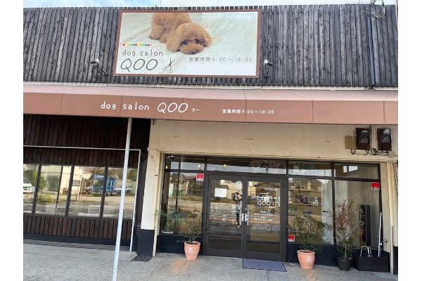 dog salon Qoo 和泉店