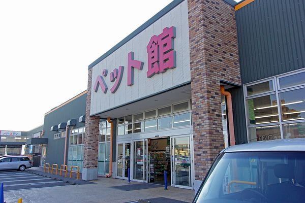 ネット予約可 ペットショップノア 相模原橋本店 相模原市緑区橋本駅 小型犬 中型犬 トリミングサロン 口コミ 評判 Epark ネット予約可 ペットショップノア 相模原橋本店 相模原市緑区橋本駅 小型犬 中型犬 トリミングサロン 口コミ 評判 Epark