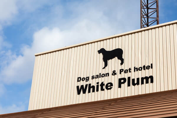 ドッグサロン White Plum_1