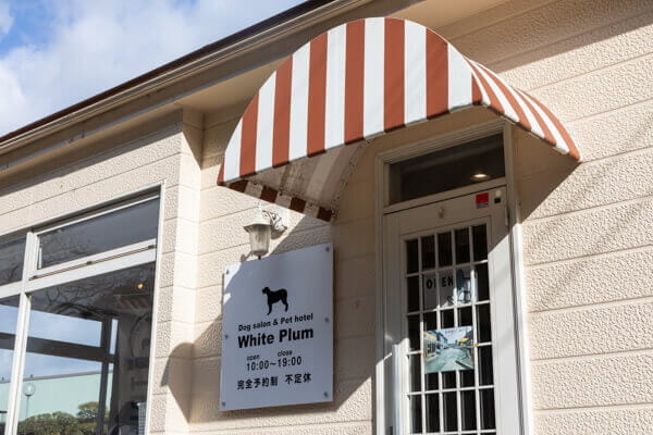 ドッグサロン White Plum_2