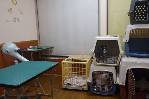 犬の床屋わんず_3