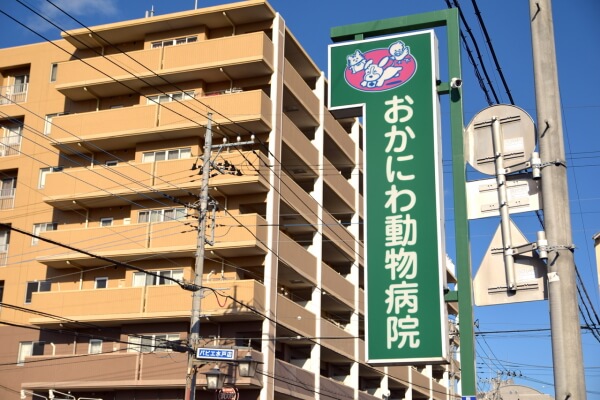 おかにわ動物病院(トリミング)_1
