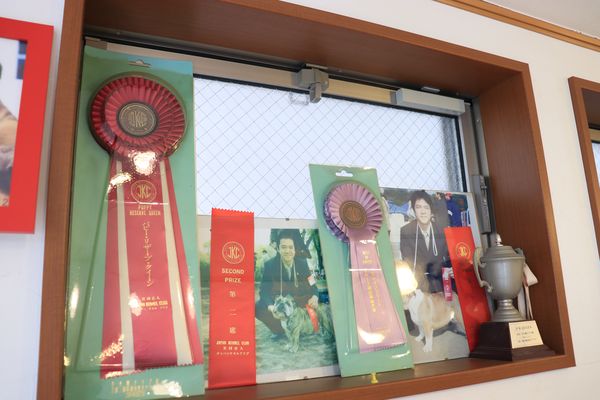 自然素材専門店ドッグスタイル_4