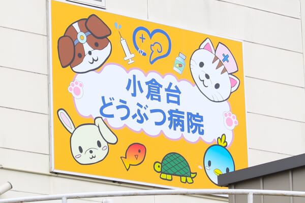 小倉台どうぶつ病院(トリミング)_1