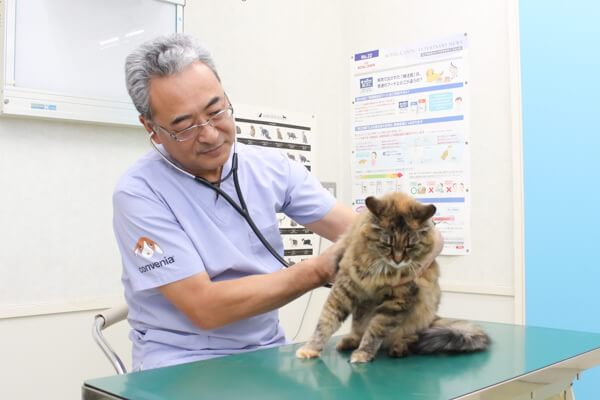小倉台どうぶつ病院(トリミング)_4