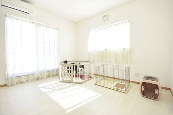 DOG SALON HAPPY SEVEN_3