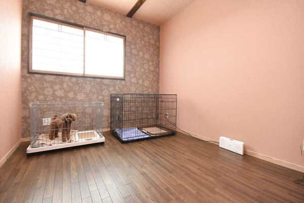 DOG SALON HAPPY SEVEN_2