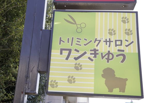 トリミングサロンワンきゅう_1