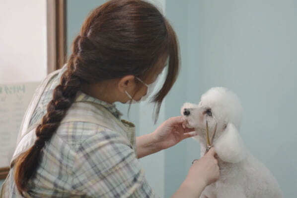 DOG SALON Patch_2