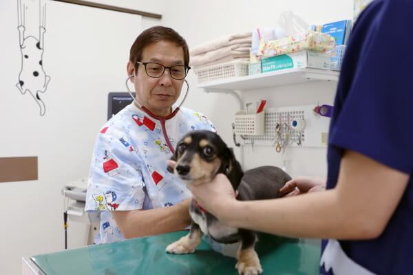 DCC動物病院 沖縄上間_4