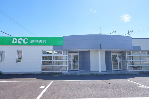 DCC動物病院 豊田町中央