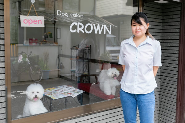 Dog salon CROWN