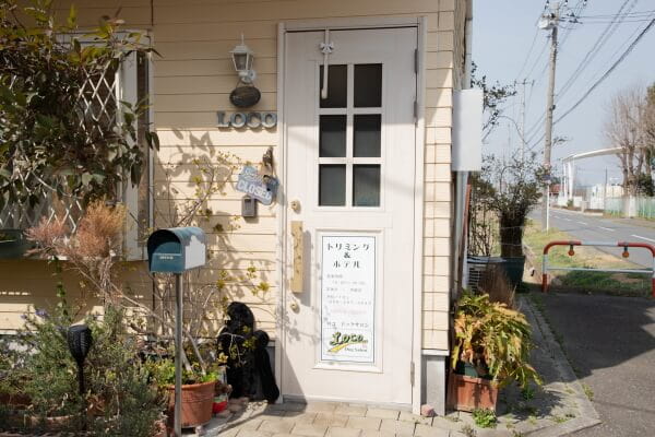 Loco Dog Salon