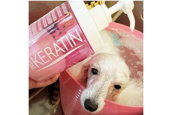 Dog Care Salon BabyWan_2