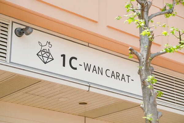 1C -WAN CARAT- ユーカリヶ丘店_1