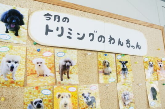 DCC動物病院 袋井山梨_4