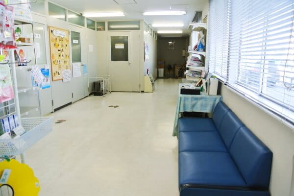 DCC動物病院 袋井山梨_1