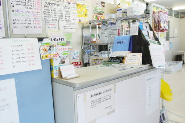 DCC動物病院 袋井山梨_2
