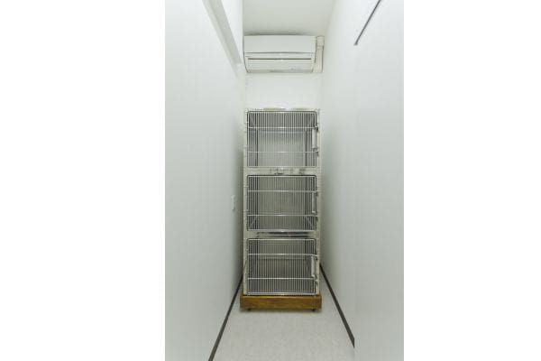 けものみち動物病院_4