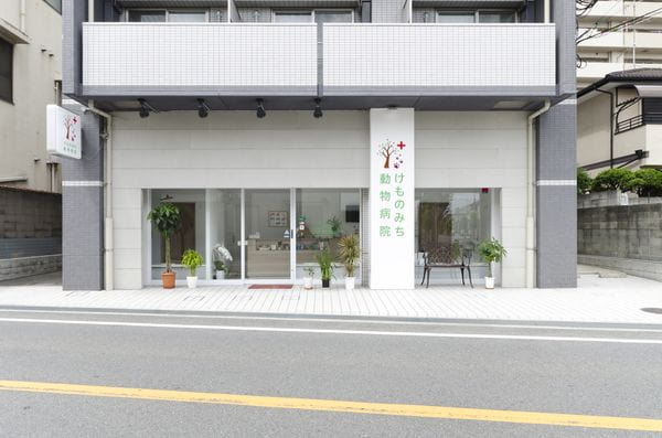 けものみち動物病院_5
