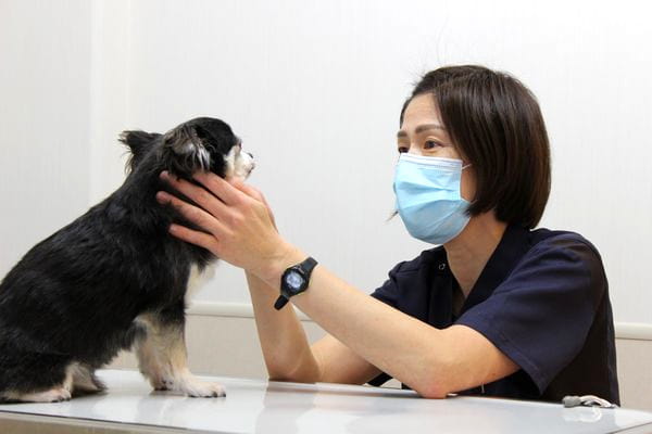 後藤　未子 / 院長・獣医師
