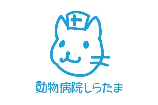 動物病院しらたま(往診専門)_8