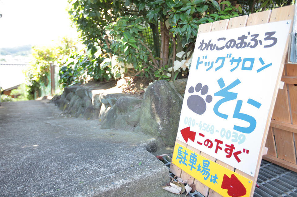 ドッグサロンそら