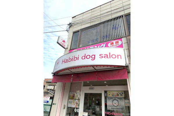 Habibi Dogsalon